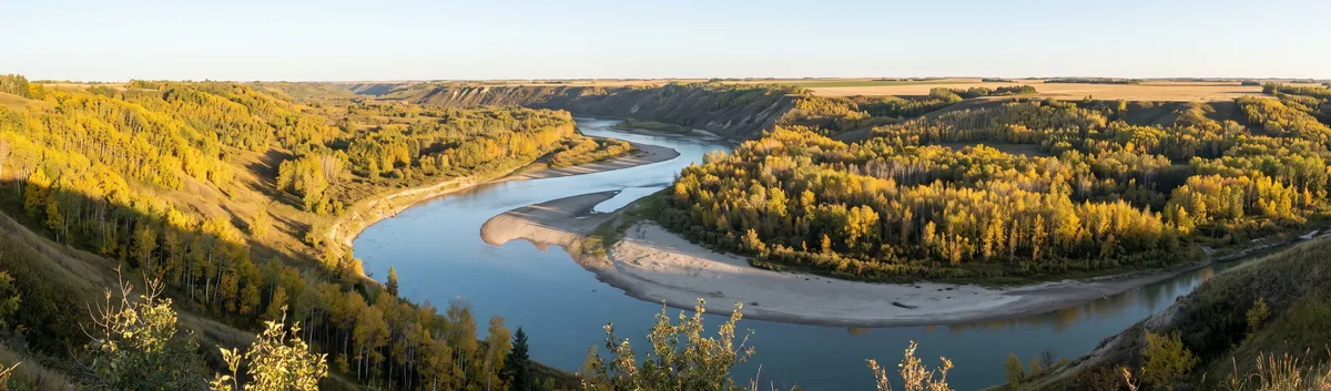 Generated picture: a wide prairie river curving through a valley of golden poplar groves and sandbars in early morning light.